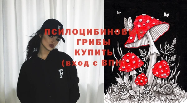 гашик Верхний Тагил