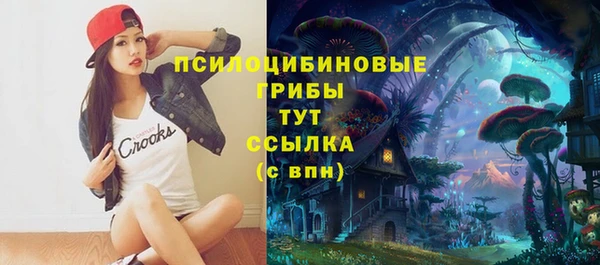 спиды Верея
