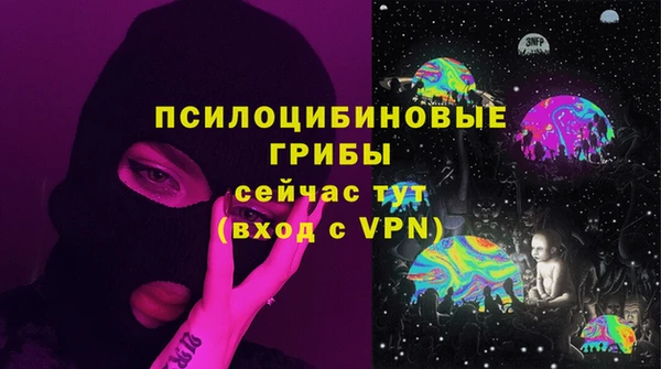 гашик Верхний Тагил