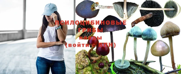 спиды Верея