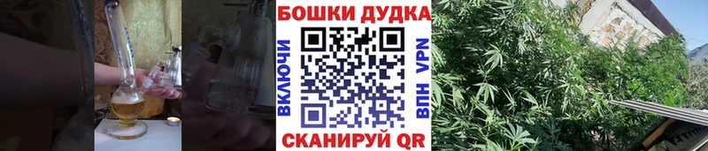 Канабис SATIVA & INDICA  где можно купить   Орехово-Зуево 